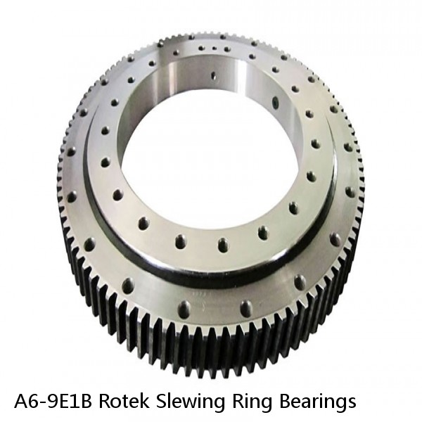A6-9E1B Rotek Slewing Ring Bearings