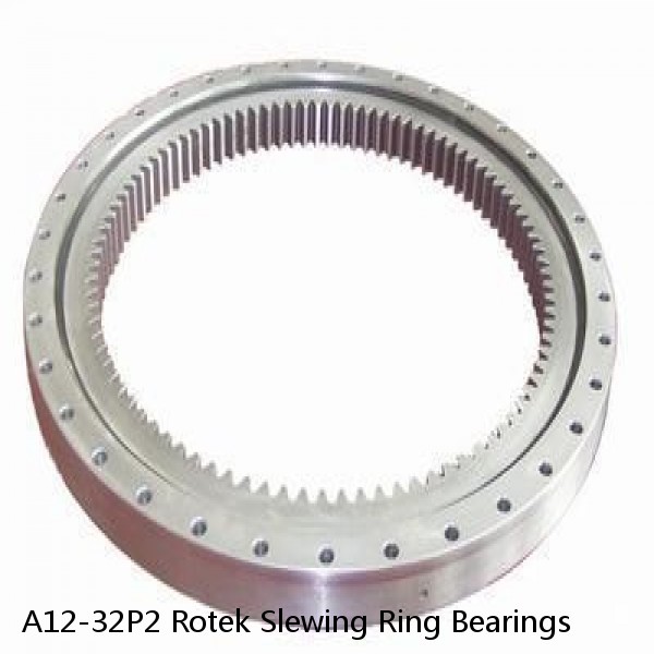 A12-32P2 Rotek Slewing Ring Bearings