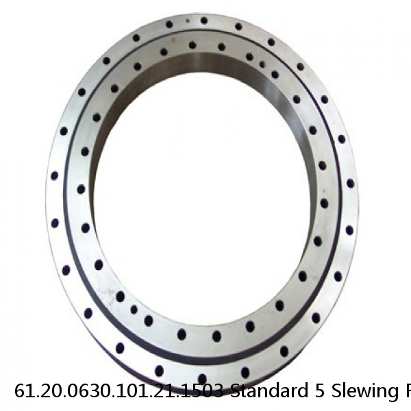61.20.0630.101.21.1503 Standard 5 Slewing Ring Bearings