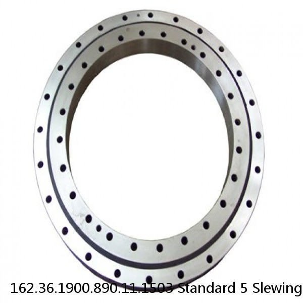 162.36.1900.890.11.1503 Standard 5 Slewing Ring Bearings