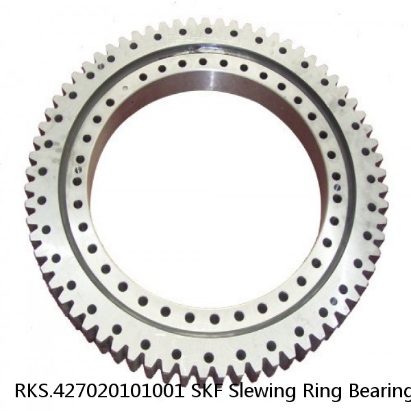 RKS.427020101001 SKF Slewing Ring Bearings