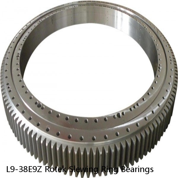 L9-38E9Z Rotek Slewing Ring Bearings