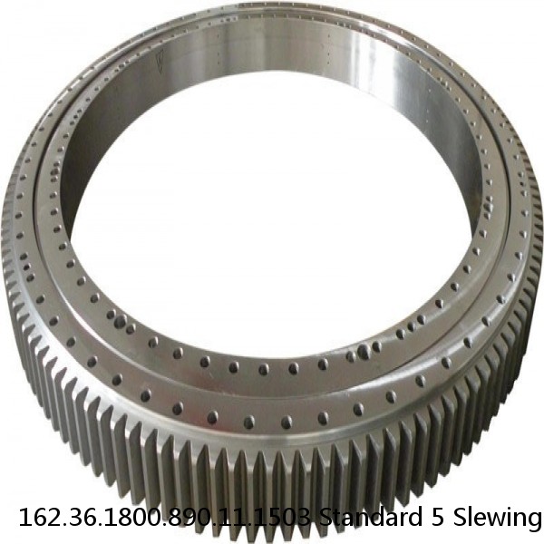 162.36.1800.890.11.1503 Standard 5 Slewing Ring Bearings