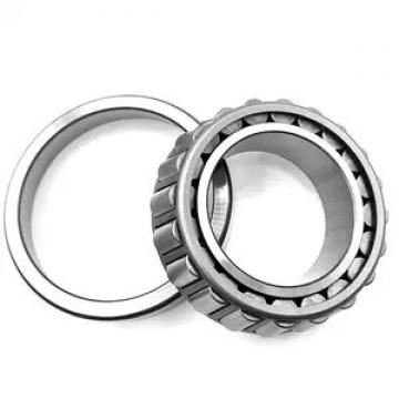 45 mm x 120 mm x 29 mm  KOYO NUP409 cylindrical roller bearings