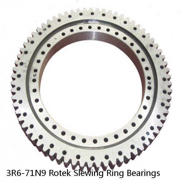 3R6-71N9 Rotek Slewing Ring Bearings