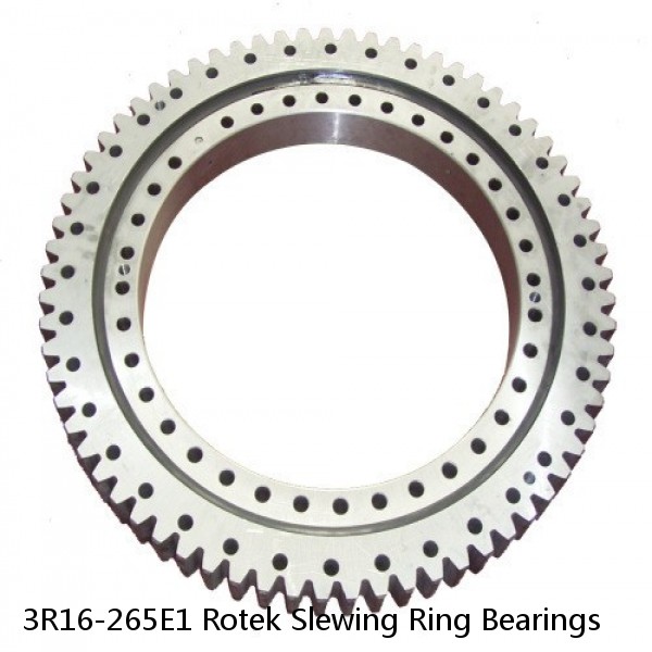 3R16-265E1 Rotek Slewing Ring Bearings