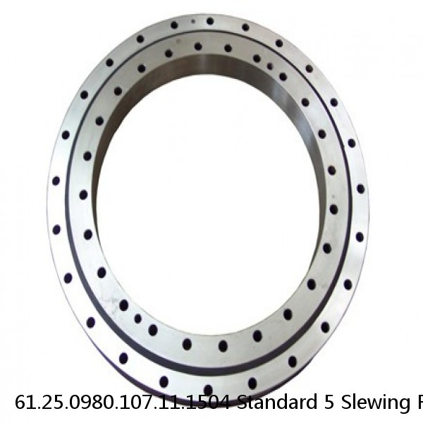 61.25.0980.107.11.1504 Standard 5 Slewing Ring Bearings