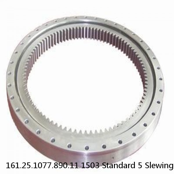 161.25.1077.890.11.1503 Standard 5 Slewing Ring Bearings