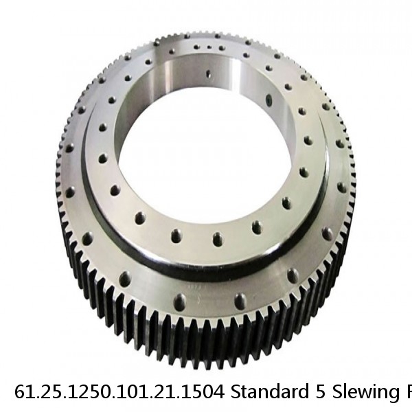 61.25.1250.101.21.1504 Standard 5 Slewing Ring Bearings