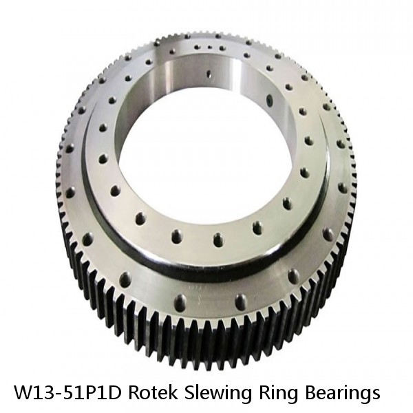 W13-51P1D Rotek Slewing Ring Bearings