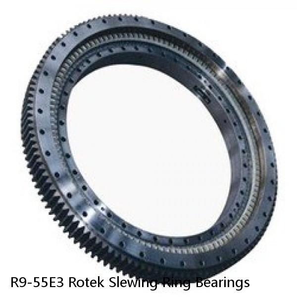 R9-55E3 Rotek Slewing Ring Bearings