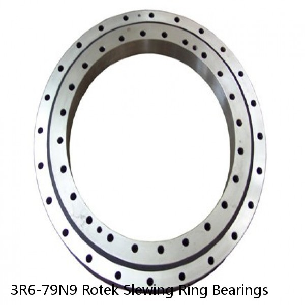 3R6-79N9 Rotek Slewing Ring Bearings