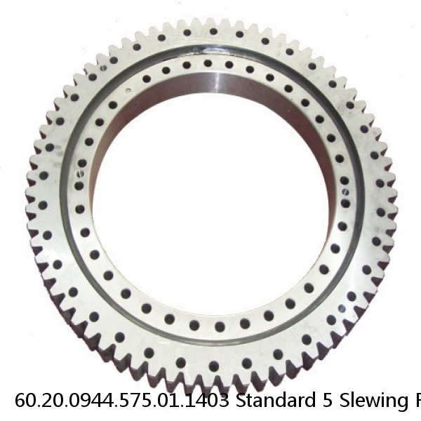 60.20.0944.575.01.1403 Standard 5 Slewing Ring Bearings