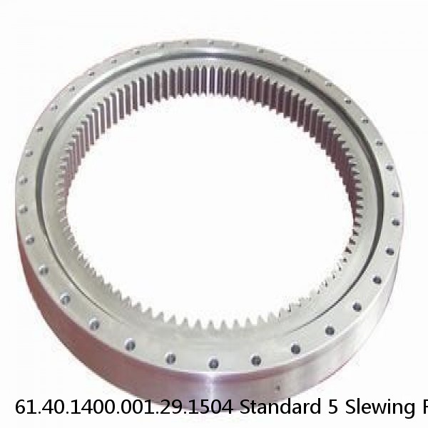 61.40.1400.001.29.1504 Standard 5 Slewing Ring Bearings