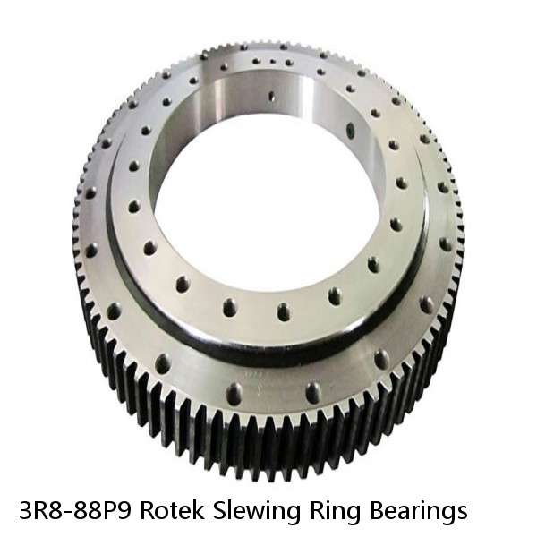 3R8-88P9 Rotek Slewing Ring Bearings