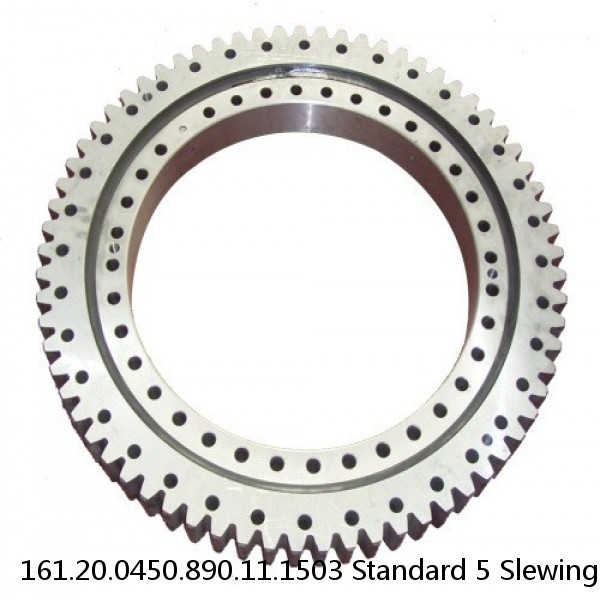 161.20.0450.890.11.1503 Standard 5 Slewing Ring Bearings