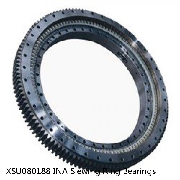 XSU080188 INA Slewing Ring Bearings