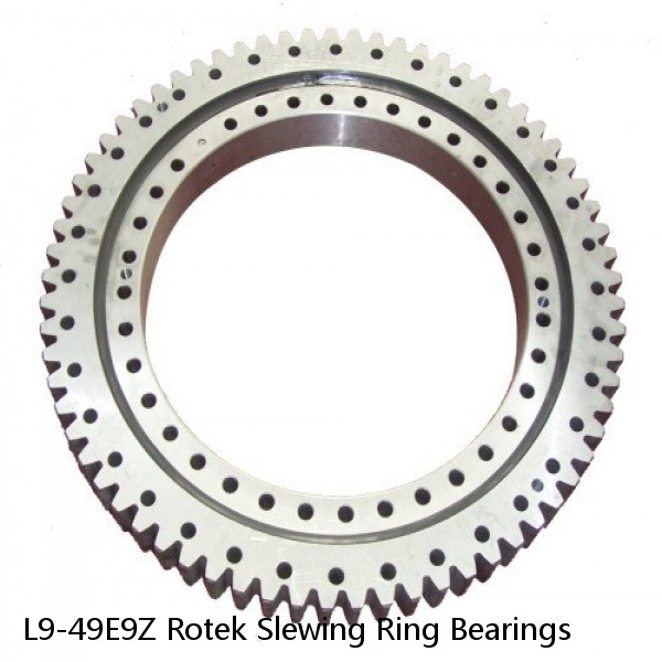 L9-49E9Z Rotek Slewing Ring Bearings