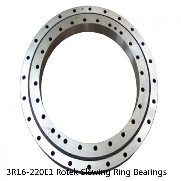 3R16-220E1 Rotek Slewing Ring Bearings