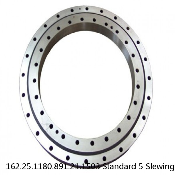 162.25.1180.891.21.1503 Standard 5 Slewing Ring Bearings