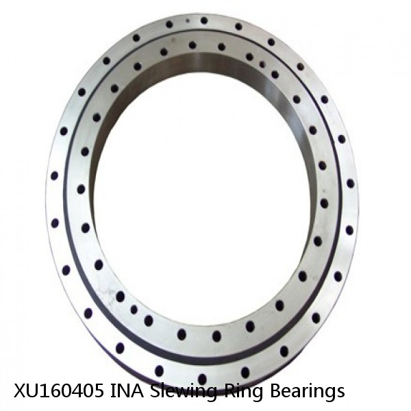 XU160405 INA Slewing Ring Bearings