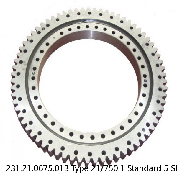 231.21.0675.013 Type 21/750.1 Standard 5 Slewing Ring Bearings