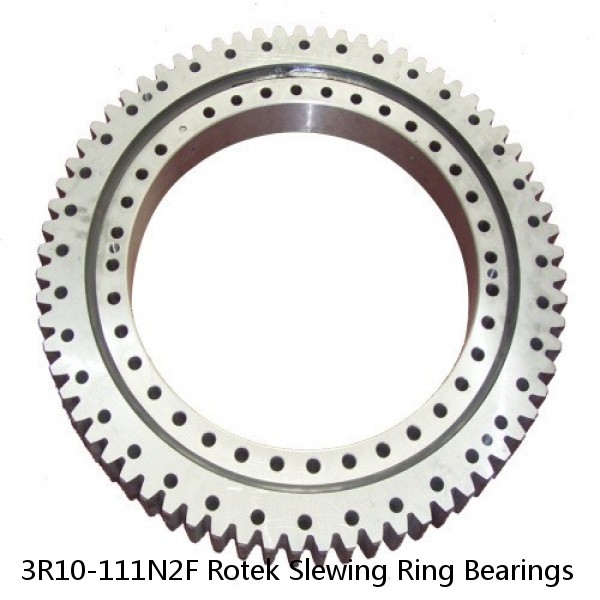 3R10-111N2F Rotek Slewing Ring Bearings