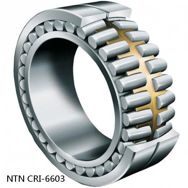 CRI-6603 NTN Cylindrical Roller Bearing