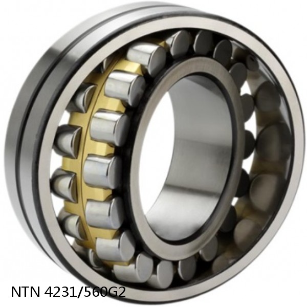 4231/560G2 NTN Cylindrical Roller Bearing