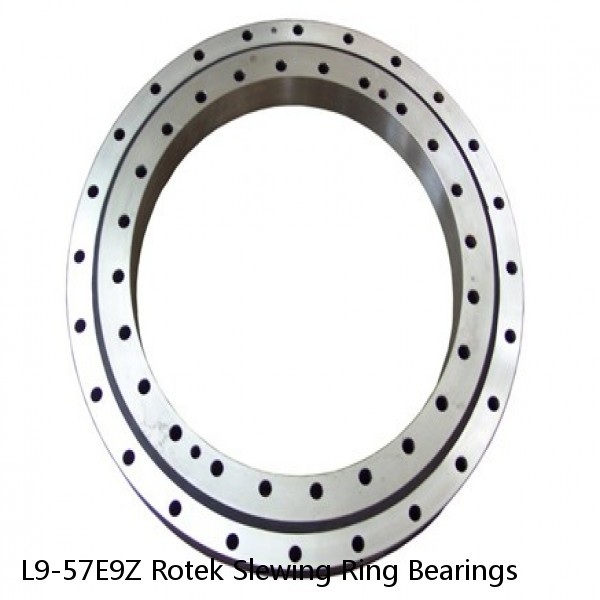 L9-57E9Z Rotek Slewing Ring Bearings