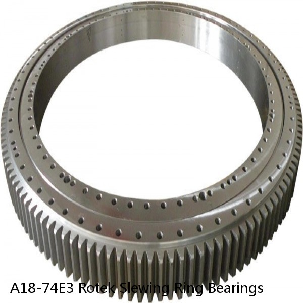 A18-74E3 Rotek Slewing Ring Bearings