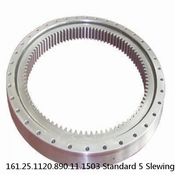 161.25.1120.890.11.1503 Standard 5 Slewing Ring Bearings