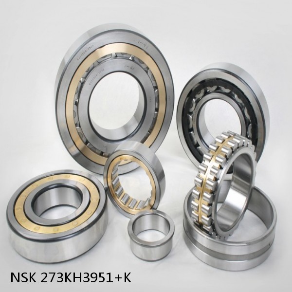 273KH3951+K NSK Tapered roller bearing