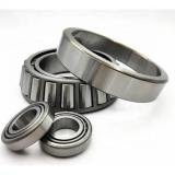 Cylindrical Roller Bearing (NU 312 ECP)
